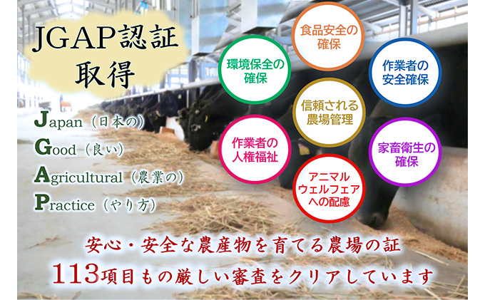 【飛騨牛】海津市産ウデ焼肉オリジナルカット 【配達不可：離島】