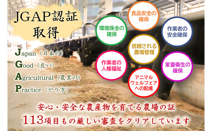 【飛騨牛】海津市産ロースステーキ250g×3 【配達不可：離島】