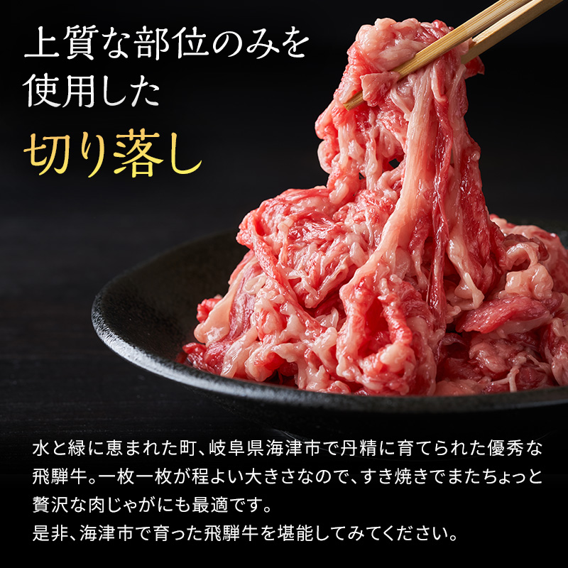 飛騨牛 岐阜県海津市産 すき焼き 切り落とし 500g 牛肉