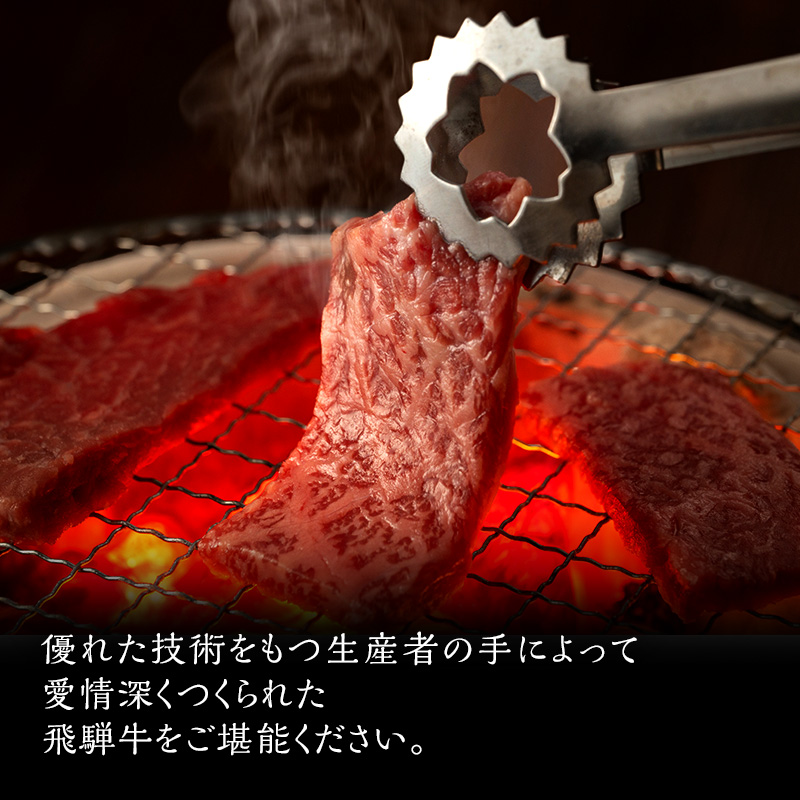 飛騨牛 サーロイン 岐阜県海津市産 焼肉 500g 牛肉