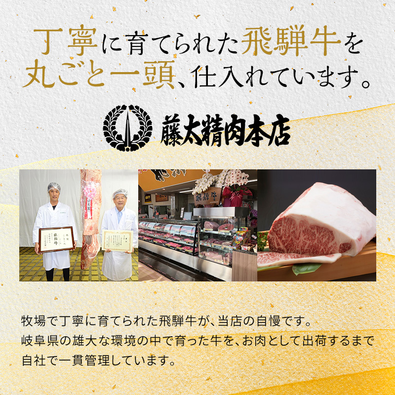 飛騨牛 サーロイン 岐阜県海津市産 焼肉 500g 牛肉