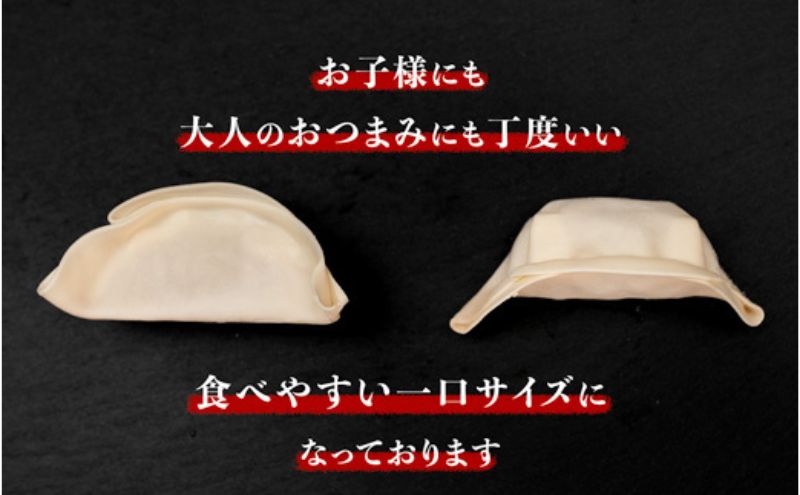 発芽にんにく餃子30個入り 餃子 にんにく にんにくたっぷり 国産にんにく 発芽にんにく 冷凍 臭わない おつまみ おかず 総菜 餃子専門店 ぎょうざ 工場直売 