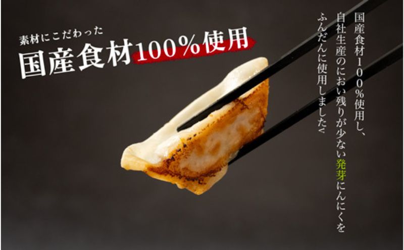 発芽にんにく餃子30個入り3パック にんにく にんにくたっぷり 国産にんにく 発芽にんにく 冷凍 臭わない おつまみ おかず 総菜 餃子専門店 ぎょうざ 工場直売 まとめ買い