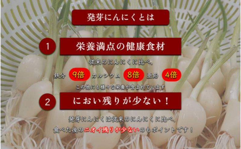 発芽にんにく餃子30個入り3パック にんにく にんにくたっぷり 国産にんにく 発芽にんにく 冷凍 臭わない おつまみ おかず 総菜 餃子専門店 ぎょうざ 工場直売 まとめ買い