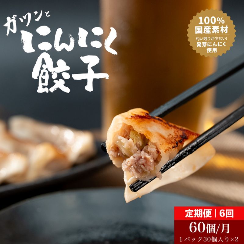 【6か月 定期便 】発芽にんにく餃子30個入り2パック　餃子 にんにく にんにくたっぷり 国産にんにく 発芽にんにく 冷凍 臭わない 栄養価抜群 スタミナ 免疫アップ おつまみ おかず 総菜 餃子専門店 工場直売