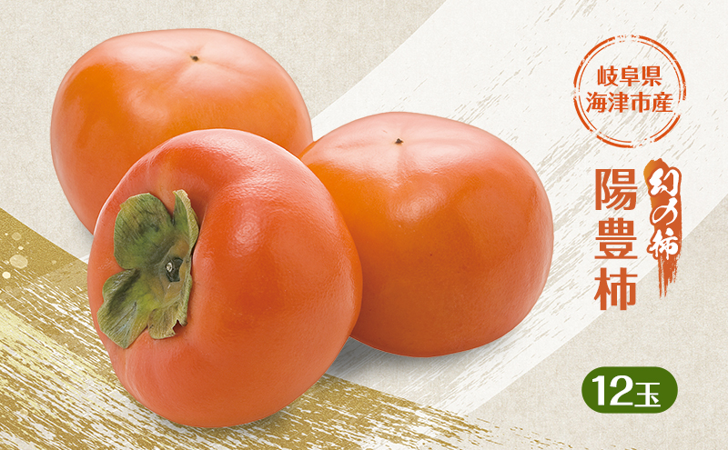 柿 果物 フルーツ 岐阜 幻の柿 陽豊柿 12玉 【海津市】 果物類 かき