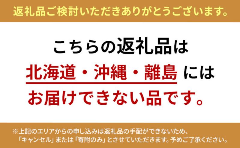 農家直送！こだわりの大玉いちご　約360g×1箱