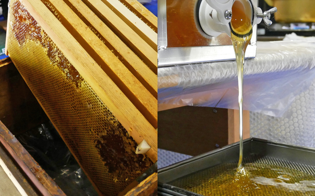 南濃みかんショコラセレクション(2缶) フールセック・小缶 菓子 お菓子 焼き菓子 セット 詰め合わせ チョコレート クッキー ショコラ 岐阜 海津市