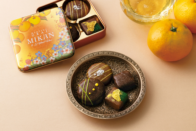 南濃みかんショコラセレクション(2缶) フールセック・小缶 菓子 お菓子 焼き菓子 セット 詰め合わせ チョコレート クッキー ショコラ 岐阜 海津市