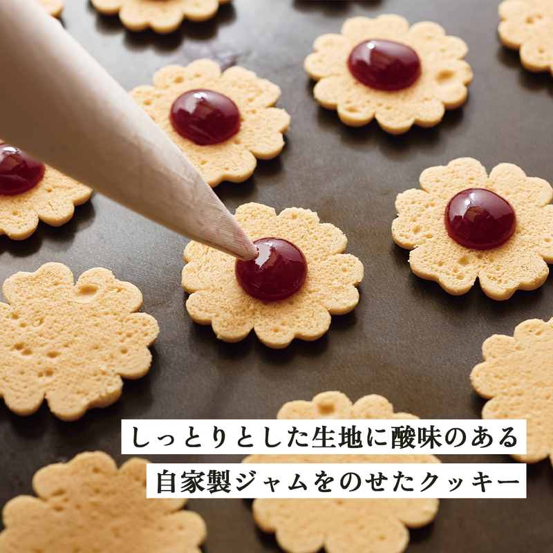 南濃みかんショコラセレクション(2缶) フールセック・小缶 菓子 お菓子 焼き菓子 セット 詰め合わせ チョコレート クッキー ショコラ 岐阜 海津市