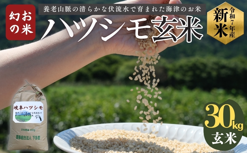 ã å¹»ã®ç±³ ã ããã·ã¢ çç±³ 30kg