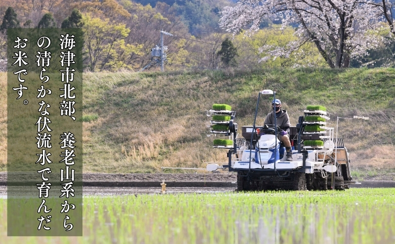 「 幻の米 」 ハツシモ 玄米 15kg