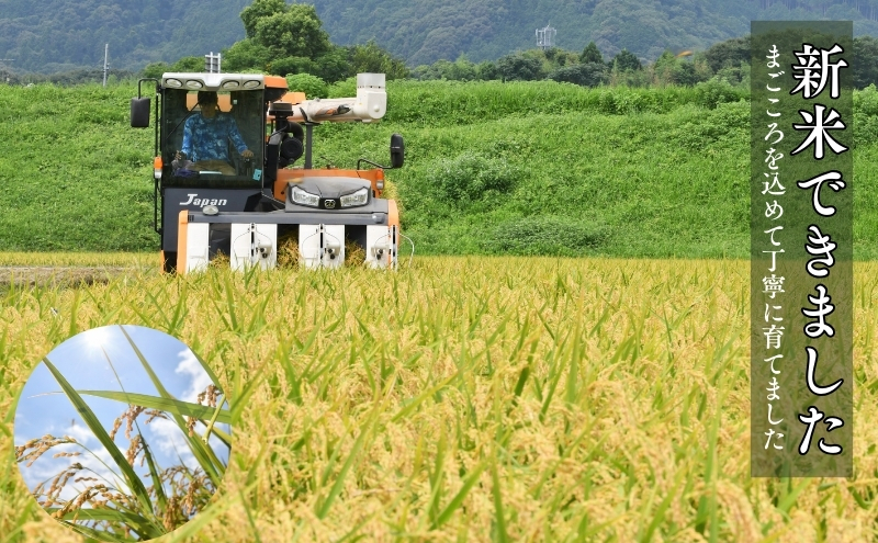 「 幻の米 」 ハツシモ 玄米 15kg