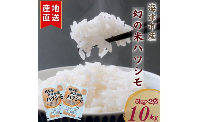 【令和7年度産/白米】ハツシモ 10kg 岐阜県海津市産