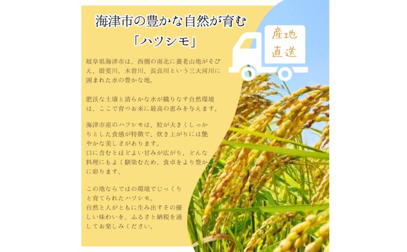 【令和7年度産/白米】ハツシモ 5kg 岐阜県海津市産