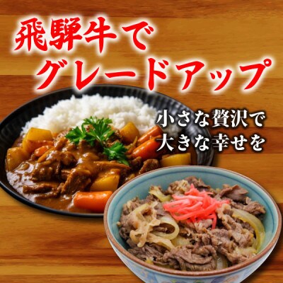 うしの家の飛騨牛切り落とし　1kg(250g×4パック)　【配送不可地域：離島】【1418727】