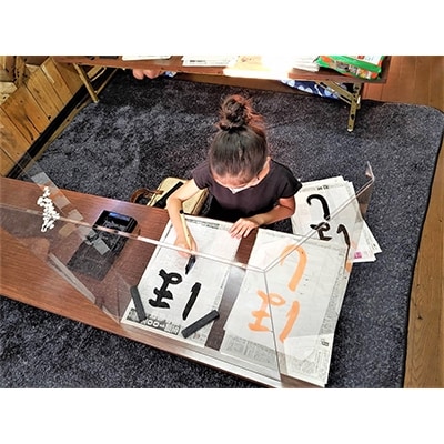 飛沫防止パネル「ワークシールド　トリプル」1枚　(60×68×18cm)【1127518】