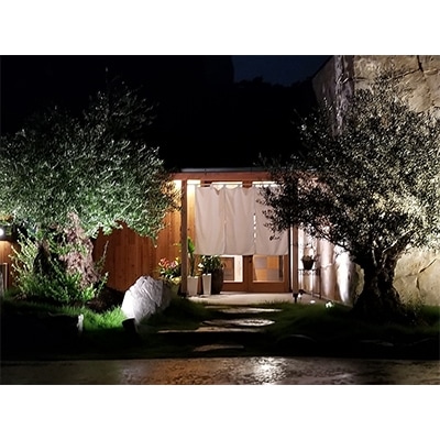 å幎ãªãªãŒãããµãããšçŽçšéå®ãã·ã§ãã®ããŸããæ³ã³ãŒã¹ããã¢ãã±ããã1138959ã