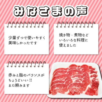 うしの家の飛騨牛切り落とし　1kg(250g×4パック)　【配送不可地域：離島】【1418727】