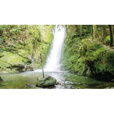 【男前表札】　守護の日本刀　BSD-1【1130113】