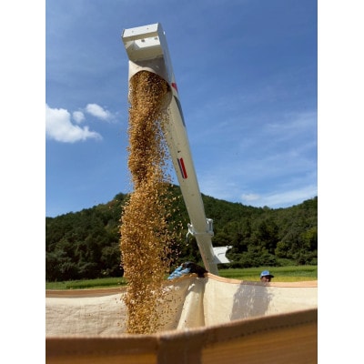 ç°å¢é
æ
®å蟲æ¥ã§è²ãŠããå²éçã®ãç±³ãã³ã·ãã«ãªã5kg (çœç±³)ã1715127ã