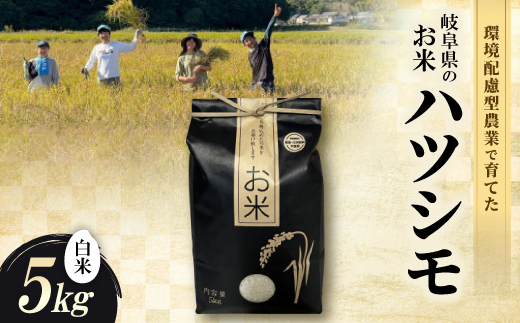 環境配慮型農業で育てた　岐阜県のお米　ハツシモ　5kg (白米)【1715126】