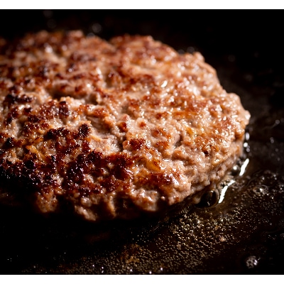 飛騨牛100%生ハンバーグ　120g×5個【配送不可地域：離島】【1519624】