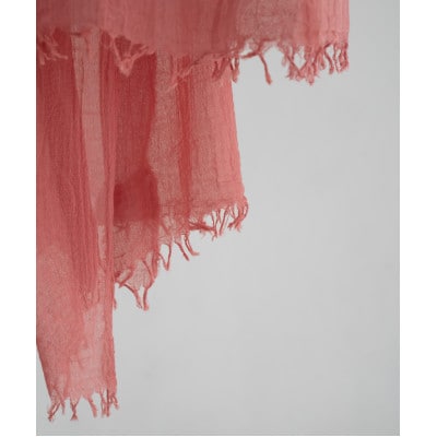 ãªãŒã¬ããã¯ã³ããã³ç¥å€æšç¶¿ã¹ããŒã«ãã³ãããŒã«ãšã³ãžã¥ãªã¬ã³ãžã1695152ã