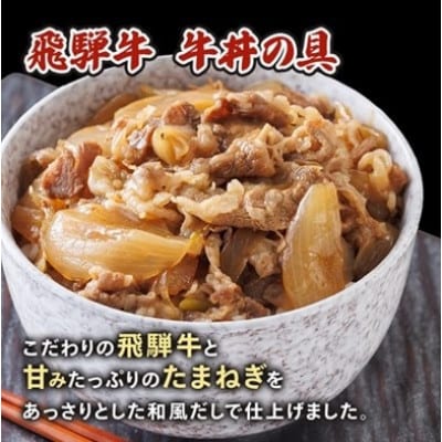 【2ヵ月毎定期便】飛騨牛三昧(ハンバーグ・カレー・牛丼の冷凍食品3種セット)全3回【配送不可地域：離島】【4079778】