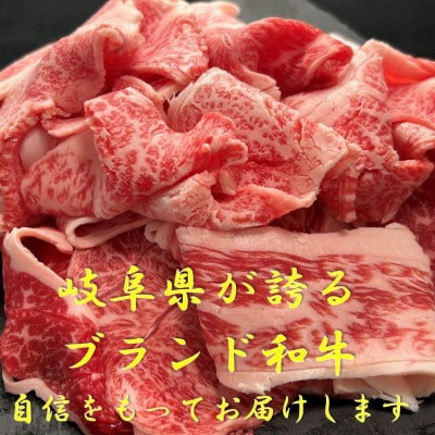 飛騨牛切り落とし300g×2パック【配送不可地域：離島】【1507965】