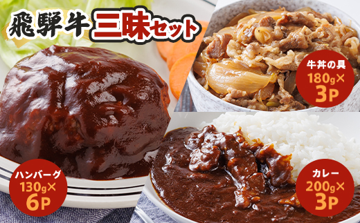 飛騨牛三昧【配送不可地域：離島】【1213293】