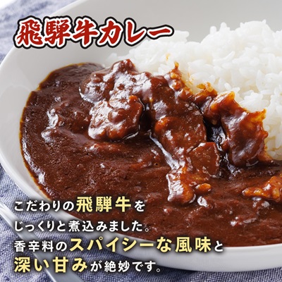 飛騨牛牛丼の具とカレーのセット【2種5食】冷凍食品詰め合わせセット　【配送不可地域：離島】【1213292】