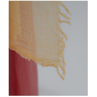 ãªãŒã¬ããã¯ã³ããã³ç¥å€æšç¶¿ã¹ããŒã«ãããªãŒãŽãŒã«ãã€ãšããŒã1695146ã