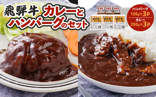 飛騨牛入り製品詰め合わせ【配送不可地域：離島】【1213291】