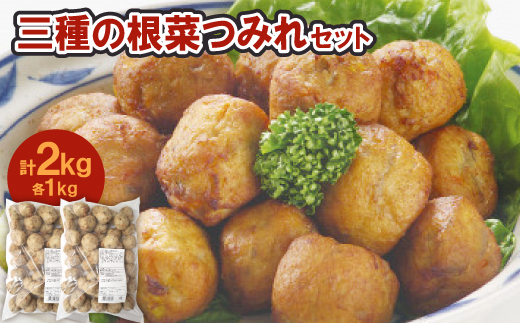 三種の根菜つみれ2パックセット【配送不可地域：離島】【1637087】