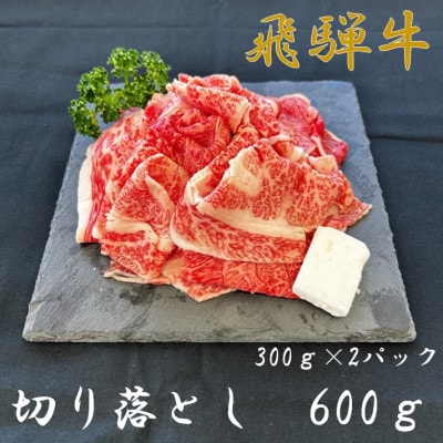 飛騨牛切り落とし300g×2パック【配送不可地域：離島】【1507965】