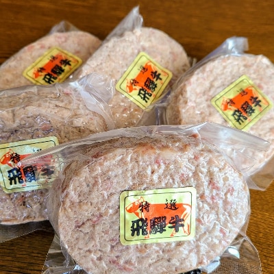 飛騨牛100%生ハンバーグ　120g×5個【配送不可地域：離島】【1519624】