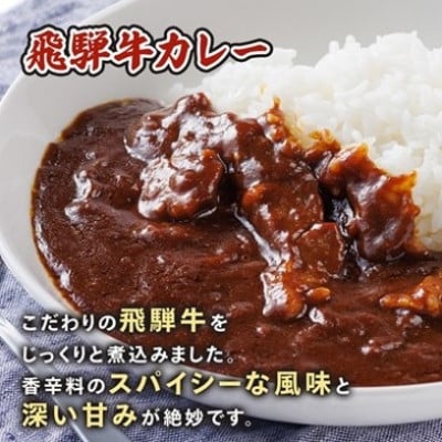 【2ヵ月毎定期便】飛騨牛三昧(ハンバーグ・カレー・牛丼の冷凍食品3種セット)全3回【配送不可地域：離島】【4079778】