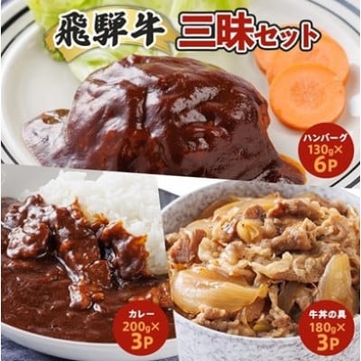 【2ヵ月毎定期便】飛騨牛三昧(ハンバーグ・カレー・牛丼の冷凍食品3種セット)全3回【配送不可地域：離島】【4079778】