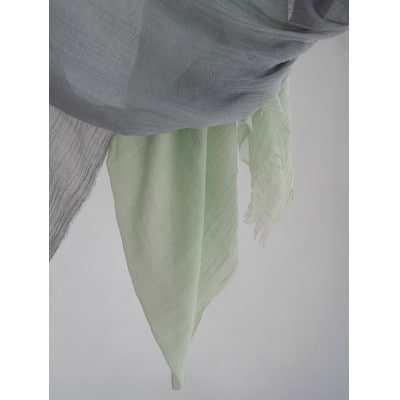 ãªãŒã¬ããã¯ã³ããã³ç¥å€æšç¶¿ã¹ããŒã«ããã¿ããããŒãã³ãã°ãªãŒã³ã1695126ã