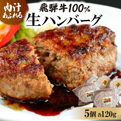 飛騨牛100%生ハンバーグ　120g×5個【配送不可地域：離島】【1519624】