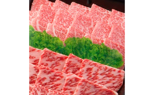 【飛騨牛】肉厚ロースと霜降りカルビの詰め合わせ 焼肉用 計800g 岐阜県産 黒毛和牛【配送不可地域：離島】【1046752】