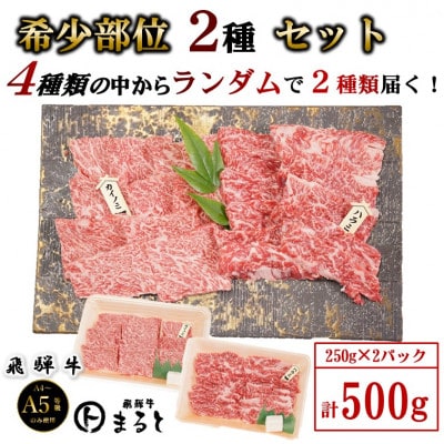 【飛騨牛】お勧め希少部位2種セット　250g×2【配送不可地域：離島】【1721860】