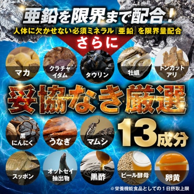 シトルリンサプリメント アルギニン 亜鉛 マカ配合 Mr.GINO ソルエナジー 3袋(3ヶ月分)【1495265】