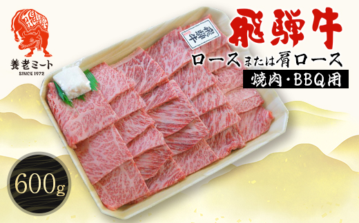 飛騨牛ロースまたは肩ロース600g (焼肉・BBQ用)【配送不可地域：離島】【1042664】
