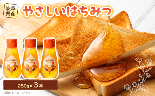 岐阜県産 やさしいはちみつ250g×3本【1501897】