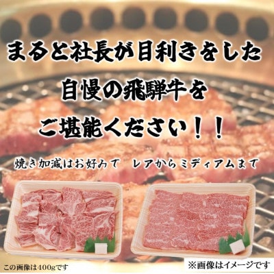 【飛騨牛】焼き肉2種食べ比べセット各300g入　合計600g【配送不可地域：離島】【1614115】