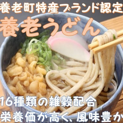 飛騨牛 5等級　すき焼き・しゃぶしゃぶ用　500g(ロース・肩ロース)養老うどん付(3人前)【配送不可地域：離島】【1380167】