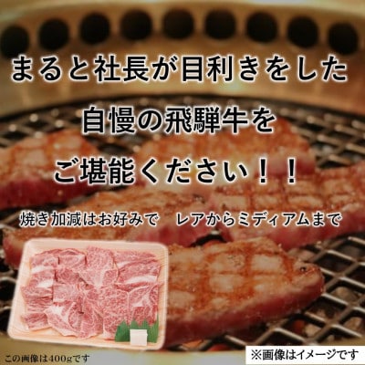 飛騨牛霜降り焼き肉 300g×2(合計600g)【配送不可地域：離島】【1735699】