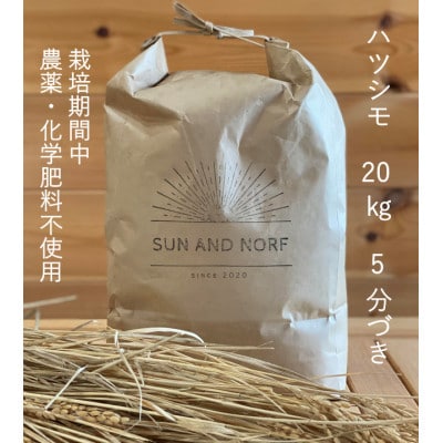 【令和7年産】初霜(源種)5分づき20kg　(栽培期間中農薬・化学肥料不使用)【1721468】